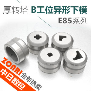 厚轉(zhuǎn)塔E85標準B工位異形下模